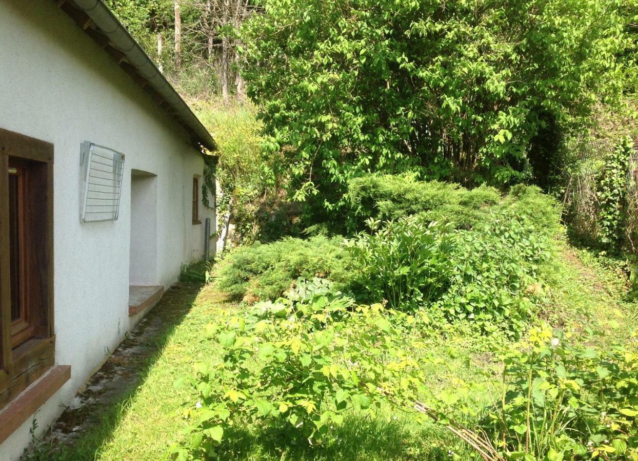 Au Coeur Des Chateaux Chambon-sur-Cisse Dış mekan fotoğraf